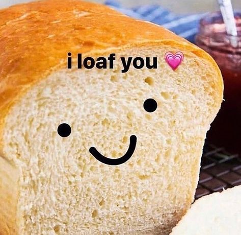 Respectful Memes’s Instagram profile post: “Tag someone you loaf” Cute Love Memes, Crush Memes, Food Puns, I Love My Girlfriend, Cute Messages, Relationship Memes, Disney Memes, Funny Reaction Pictures, Cute Memes