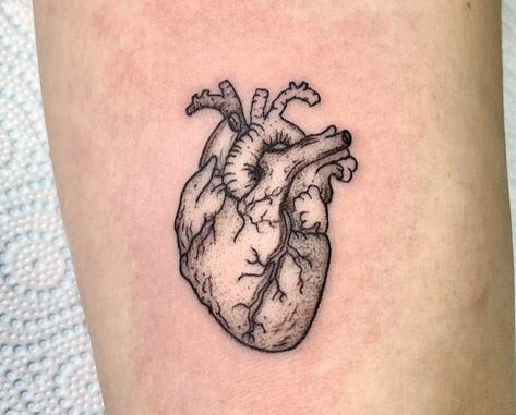 Real Heart Tattoos, Tattoo Between Breast, Anatomical Heart Drawing, Dr Tattoo, Heart Tattoo Ideas, Heart Organ, Red Heart Tattoos, Anatomical Heart Tattoo, Tattoos Unique