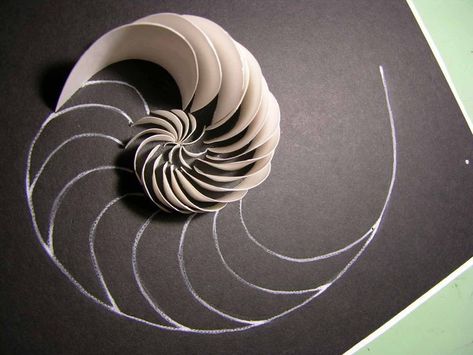 Conceptual Model Architecture, Shell Structure, Model Architecture, Paper Art Sculpture, Paper Architecture, Organic Structure, Architecture Design Drawing, Architecture Model Making, Nautilus Shell