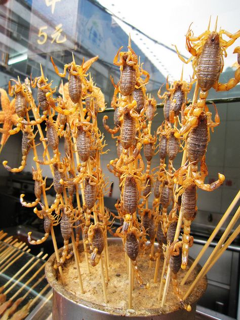 street food in Beijing - Scorpion sticks. i haven't try it, but if i can go back to Beijing i do will eat that Scorpion sticks! nyuum nyuuummm Essen, Beijing Street, Street Snacks, World Street Food, Gross Food, Street Food Market, Bizarre Foods, China Beijing, Asian Street Food