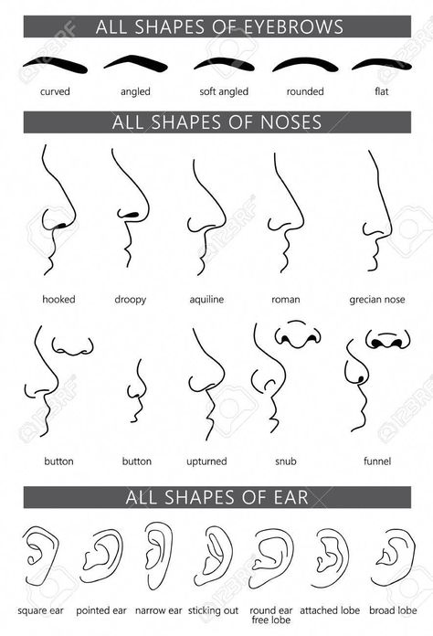 Picture of Differently shaped noses, ears and eyebrows. Types of the human nose, ear and eyebrow. Different parts of the human face, vector illustration. stock photo, images and stock photography. Image 77047513. Human Nose, Backgrounds Tumblr, Types Of Faces Shapes, Drawing Backgrounds, Tips For Drawing, Different Nose Shapes, Nose Types, Types Of Eyebrows, Face Drawing Reference