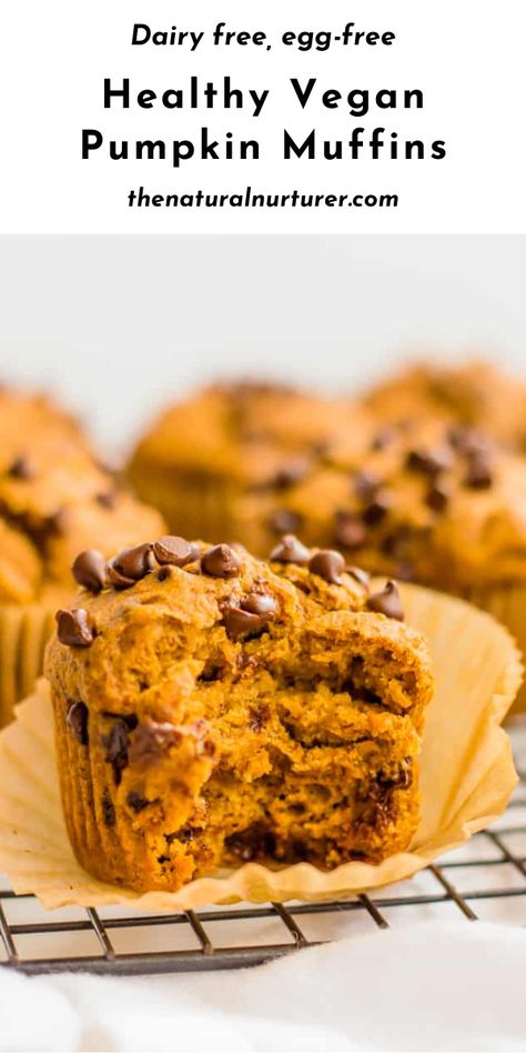 Pumpkin Muffins With Chocolate Chips, Oat Flour Muffins, Chocolate Chip Pumpkin Muffins, Muffins With Chocolate Chips, Best Pumpkin Muffins, Vegan Pumpkin Muffins, Muffins With Chocolate, Gluten Free Pumpkin Muffins, Pumpkin Muffins Easy