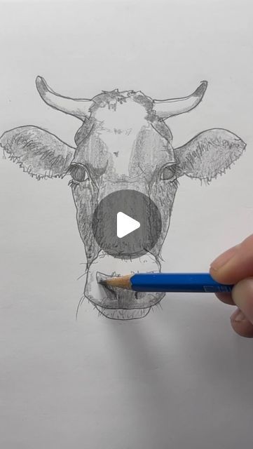 Mark Liam Smith on Instagram: "Draw a cow 🐮 Easy drawing lesson for beginners. Part 2 of 2. #drawinglesson #howtodraw" Cow Pencil Drawings, Drawing Ideas Easy Animals, Cow Sketch Easy, Cow Sketch Drawings, Cute Cow Sketch, Cow Easy Drawing, Drawing A Cow, How To Draw A Cow, Cow Drawing Easy