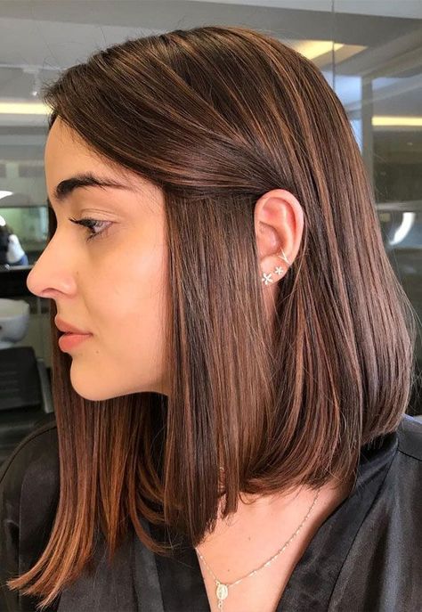 Brunette Bob Color Ideas, Ombre Hair Colour For Short Hair, Brunette With Caramel Highlights Honey Short Hair, Caramel Ombre Straight Hair, Honey Coloured Hair Caramel Highlights, Bob With Copper Highlights, Short Hair Honey Brown, Long Bob Brown Hair With Highlights, Long Bob Color Ideas