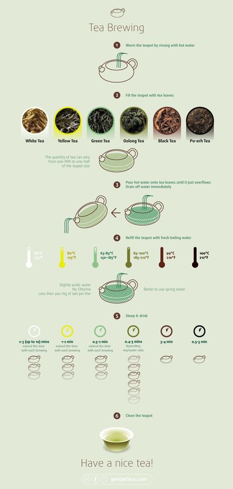 Tea Infographic, Tea Facts, Professional Icon, Tea Illustration, Tea Brewing, Brew Tea, Yellow Tea, Pu Erh Tea, Tea Culture