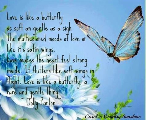 "Love is like a butterfly" Dolly Parton quote via Carol's Country Sunshine on Facebook Butterfly Thoughts, Butterfly Sayings, Love Is Like A Butterfly, Butterfly Poems, Miss You Mum, Mother Nature Quotes, Dolly Parton Quotes, Butterfly Quotes, Like A Butterfly