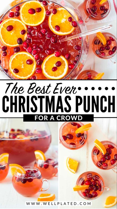 Easy, refreshing Christmas Punch for a crowd! With champagne, rum, cranberry and cider. Not too sweet—party perfect! Non-alcoholic version too. Christmas Holiday Punch Non Alcoholic, Non Alcoholic Christmas Punch For A Crowd, Big Batch Alcoholic Drinks Party Punches, Christmas Party Punch Alcohol, Christmas Drinks Alcohol Recipes For A Crowd, Holiday Champagne Punch, Sparkling Christmas Punch, Easy Non Alcoholic Christmas Punch, Christmas Punch With Prosecco