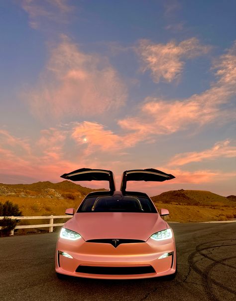 Pink Tesla Car, Tesla Model X Plaid, Pearl 2022, Pink Tesla, Tesla Aesthetic, Dr Car, Tesla X, Chevy Bolt, Tesla Interior