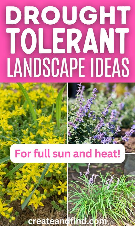 Collage of drought-tolerant perennials that can take full sun and heat. California Front Yard Landscaping Ideas, Drought Tolerant Landscape Front Yard, Full Sun Landscaping, California Landscaping, Xeriscape Plants, Heat Tolerant Plants, Full Sun Garden, Drought Resistant Landscaping, Flower Bed Borders