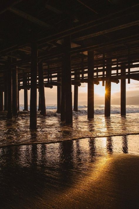 Santa Monica Pier Sunset, Pier Aesthetics, California Republic, Santa Monica Pier, Oh The Places Youll Go, Marine Life, Los Angeles California, Santa Monica, Wonderful Places