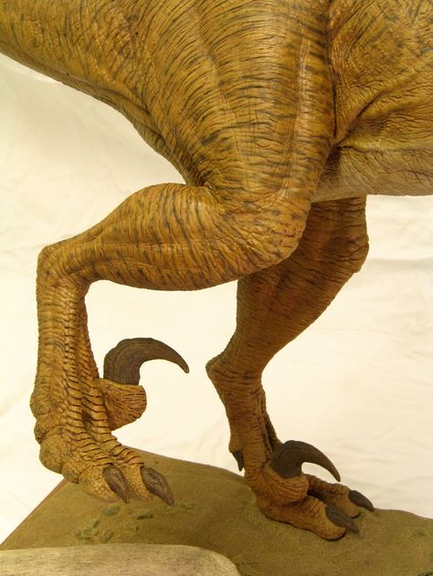 Build report: Horizon's 1/5th scale Velociraptor - AgapeModels.com Leg Reference, Dinosaur Claw, Leg Anatomy, Dinosaur Projects, Jurassic Park World, Guided Drawing, Nature Design, Creature Design, Jurassic World