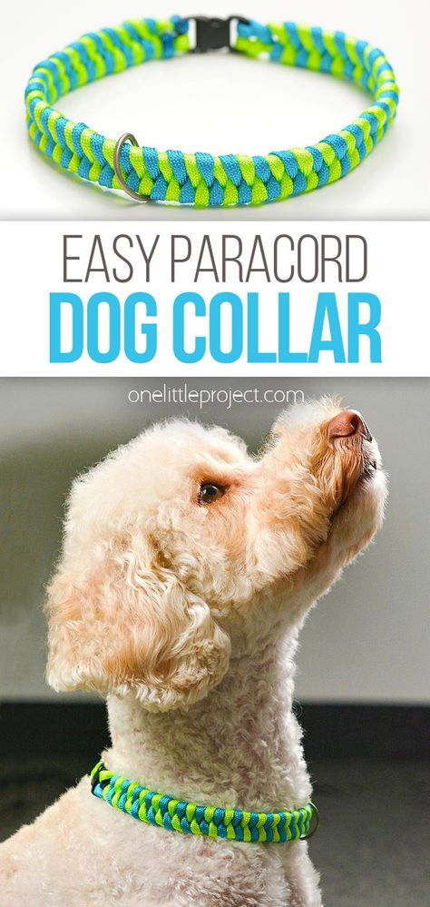 It's SO EASY to make a paracord dog collar! These DIY collars are lightweight, weather resistant, and super durable. Plus they're very simple to make, using one knot that's perfect for paracord beginners. Both kids and adults will love making a custom collar for their pet, and all you need are a few simple supplies and 30 minutes of your time! Diy Pet Collars How To Make, How To Make A Dog Collar Diy, Homemade Dog Collars Diy How To Make, Diy Puppy Harness, Handmade Dog Collars Diy, Diy Paracord Dog Collar, Paracord Collar Diy, How To Make A Dog Collar, Paracord Dog Toy