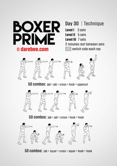 Boxer Prime: 30-Day Fitness Program Boxer Prime, Shadow Boxing Workout, Darebee Workout, Punching Bag Workout, Boxer Workout, Boxing Workout Routine, Home Boxing Workout, Fighter Workout, Boxing Training Workout