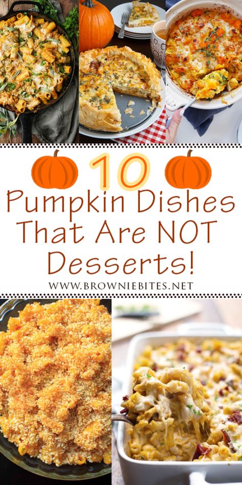 Pumpkin Side Dish Recipes Healthy, Savory Pumpkin Casserole, Good Fall Recipes For Dinner, What To Do With Roasted Pumpkin, Pumpkin Spice Appetizers, Pumpkin Casserole Recipes, Uses For Canned Pumpkin, Savory Pumpkin Appetizers, Canned Pumpkin Recipes Easy Healthy