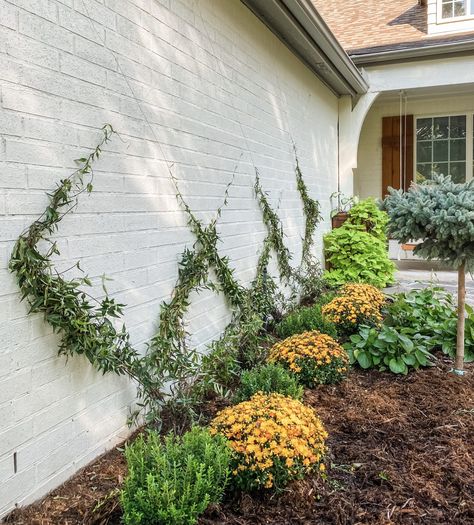 We spent one afternoon and $75 to create a DIY invisible wire trellis on a brick wall in our front garden...and I love how it turned out! Diy Trellis Wall, Brick Wall Gardens, Trellis Wall, Brick Wall Decor, Wire Trellis, Wall Trellis, Cinder Block Walls, Metal Trellis, Diy Trellis