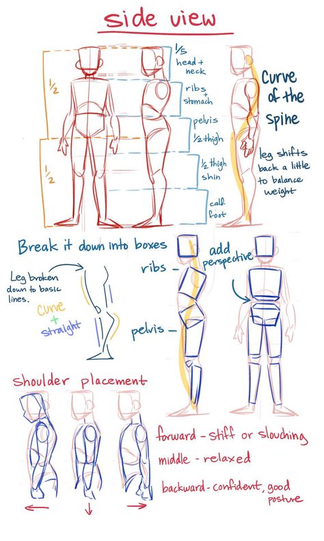 Art Tips/Refs/Techniques! on Twitter: "Side view Anatomy Tips by theredlinestation on tumblr!! #art #artist #ArtistOnTwitter… " Charcoal Drawings, Drawing Eyes, Drawing Hands, Tips For Drawing, Couple Drawing, Anatomy Tutorial, Body Drawing Tutorial, Human Anatomy Art, Body Reference Drawing