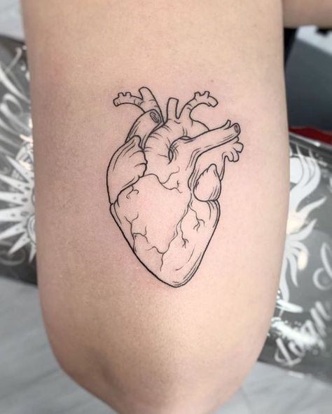 Line Work Heart Tattoo, Fun Heart Tattoo, Biological Heart Tattoo, One Line Heart Tattoo, Actual Heart Tattoo, Human Heart Tattoo Designs, Simple Anatomical Heart Tattoo, Small Anatomical Heart Tattoo, Real Heart Tattoo Designs