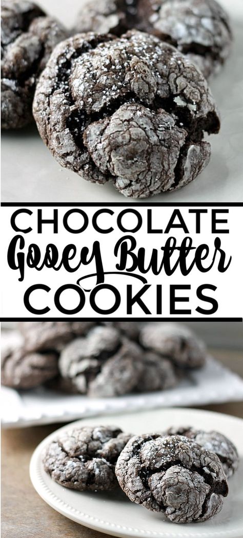 Chocolate Gooey Butter Cookies are light and pillowy and melt in your mouth! At only six ingredients, they just might be your new favorite cookie! | www.persnicketyplates.com #dessert #cookies #cakemixcookies #chocolate #baking #easyrecipe #semihomemade #christmascookies Cookies Gooey, Persnickety Plates, Chocolate Marshmallow Cookies, Salted Caramel Pretzels, Quick Cookies Recipes, Chocolate Chip Shortbread Cookies, Gooey Butter Cookies, Quick Cookies, Future Chef