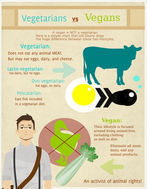 I am slowly gravitating toward a vegetarian lifestyle. Have you considered a vegetarian or vegan lifestyle but not quite clear of the differences? A illustration is below. Vegan Vs Vegetarian, Vegetarian Vs Vegan, Becoming Vegetarian, How To Become Vegan, Ovo Vegetarian, Vegetarian Lifestyle, Live Animals, Vegetarian Diet, Do Not Eat