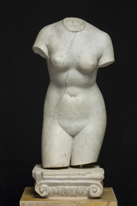 Ancient Greek Sculpture, Anatomy Sculpture, Marble Bust, Classic Sculpture, Female Torso, Roman Sculpture, Bust Sculpture, Greek Sculpture, Marble Statues