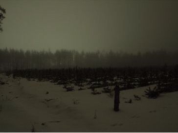 Snow Dreamcore, Dark Forest Aesthetic, Creepy Core, Misty Grey, Gray Winter, Dark Paradise, Dark Winter, Winter Scenery, Dark Places