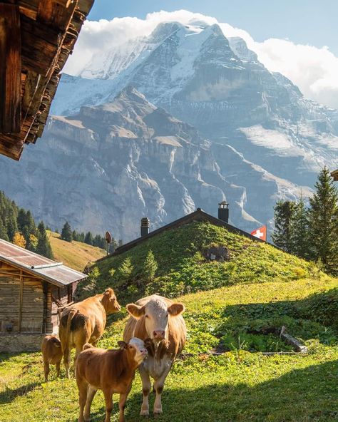 Best Landscape, Travel Photography Tips, Travel Photography Inspiration, Switzerland Travel, Dream Travel Destinations, Zermatt, Travel Goals, Pretty Places, Oh The Places Youll Go