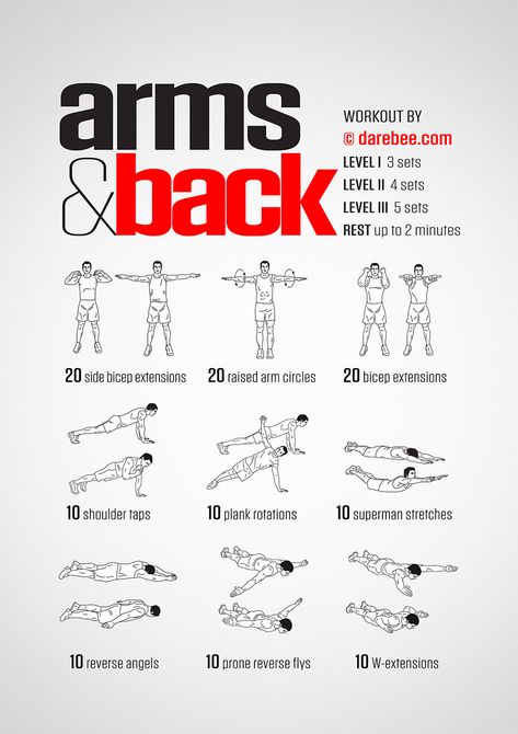 Arms & Back Workout Arm And Back Workout, Workouts Arms, Back Of Arm Exercises, Arm Workout No Equipment, Upper Body Strength Workout, Arm Workouts At Home, Arm Workout Women, Exercise Muscle, Body Workout At Home