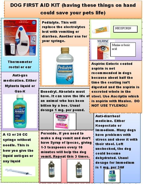 Some items important to have on hand in your first aid kit for your dog. Dog First Aid Kit, Pet First Aid Kit, Dog First Aid, Pet First Aid, Pet Remedies, Meds For Dogs, Pet Meds, Dog Medicine, Dog Remedies