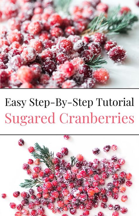 Learn how to make sugared cranberries with this quick and easy sugar cranberries recipe. These candied cranberries are perfect for holiday celebrations like Thanksgiving and Christmas. Enjoy this festive treat and discover how to sugar cranberries for the best sugared cranberries to impress your guests! Sugar Cranberries, Cranberry Treats, Fresh Cranberry Recipes, Cranberry Baking, Candied Cranberries, Cranberry Dessert, Holiday Appetizers Easy, Sugared Cranberries, Sugar Frosting