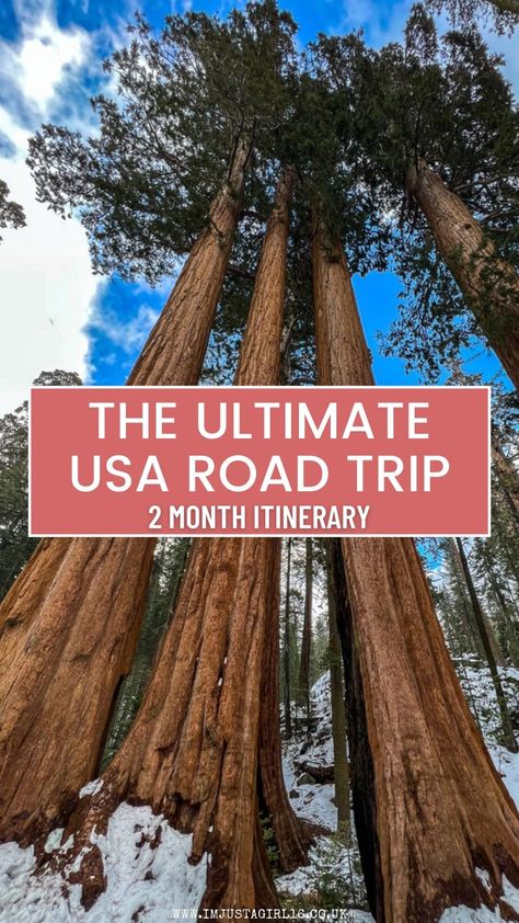 The Ultimate 2 Month USA Road Trip Itinerary Usa Itinerary, Road Trip Across America, Usa Road Trip, Road Trip Car, Road Trip Routes, American Road, Long Road Trip, Us Road Trip, American Road Trip