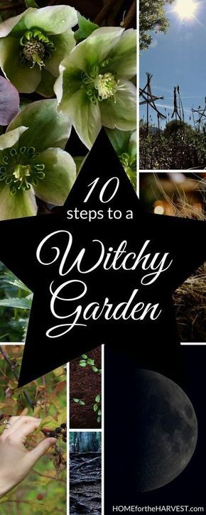 Rare Herbs To Grow, Witchy Kitchen Design, Witch’s Garden, Pentagram Garden, Witchy Garden Aesthetic, Creepy Crafts, Witches Garden, Magical Plants, Witch's Garden