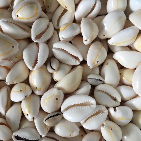 LB Beads on Instagram: “Cowrie shells...... let’s see what I come up with 🤔 #shells #cowrieshells #artjewellery #jewelrydesigner #jewellerymaker #jewellerylover…” Cowrie Shell Aesthetic, Shell Crown, Shell Crowns, Cowrie Shell Jewelry, Astronomy Facts, I Love Being Black, Cowry Shell, Graduation 2024, African Inspired Clothing