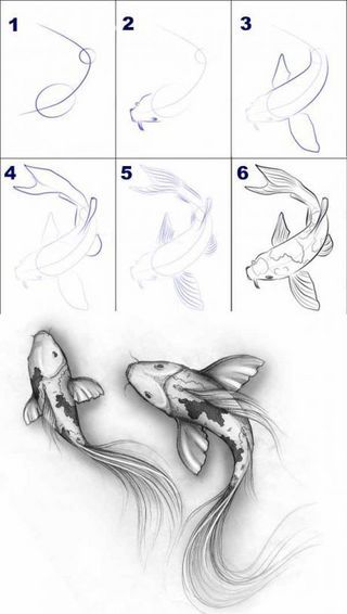 DESSINER | L'Atelier de Jojo | Bloglovin’ Draw Koi Fish, Easy Pencil Drawings, Couple Drawing, Men Tattoos, Pencil Drawings Easy, Fish Drawings, It Is, Pencil Art Drawings, Art Sketch