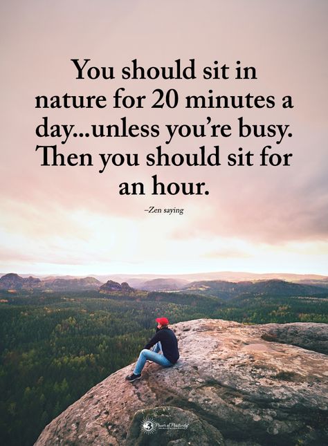 Sit In Nature Funny Wise Quotes, Habits To Develop, I'm Not Perfect, Power Hour, Zen Quotes, New Habits, Morning Meditation, My Power, My Days