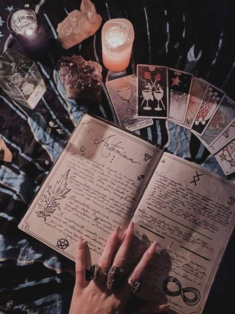 Witchy Academia, Witch Room, Witch Core, Magic Aesthetic, Love Tarot, Season Of The Witch, Sanya, Beltane, Witch Aesthetic