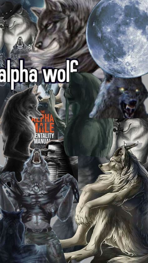 ALPHA SIGMA YES   #alphasigmarizzler #rizz #alpha #wallpaper Alpha Wallpaper, Sigma Wallpaper, Wolf Meme, Wolf Images, Alpha Wolf, Alpha Sigma, Wolf Wallpaper, Alpha Sigma Alpha, Wolf Pictures