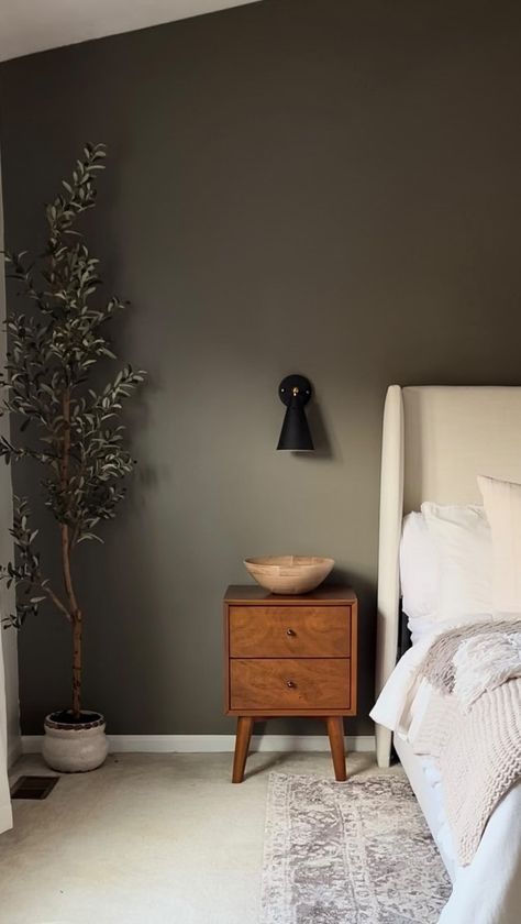 Dark Neutral Accent Wall, Dark Spare Bedroom Ideas, Grey Green Bedroom Walls, Moody Paint Colors For Bedroom, Accent Wall Dark Gray, Dark Wall Paint Colors Bedroom, Bedroom Accent Color Wall, Coloured Accent Wall, Moody Small Master Bed