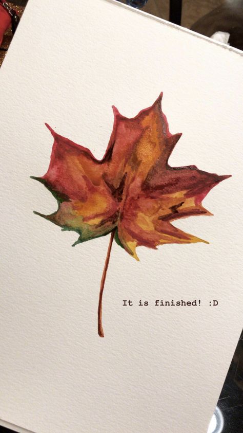 How To Draw A Maple Leaf, Maple Leaf Aesthetic, Maple Leaf Painting, Maple Leaf Watercolor, Maple Leaf Drawing, Canadian Leaf, Coffee Art Painting, Pen And Wash, Coffee Painting