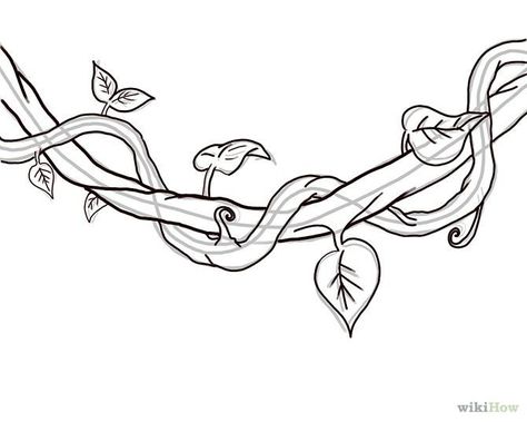 How to Draw a Jungle Vine: 7 Steps - wikiHow Jungle Drawing, Branch Drawing, Vine Drawing, Jungle Tree, Jungle Flowers, Vine Tattoos, 타이포그래피 포스터 디자인, Jungle Art, Hanging Vines