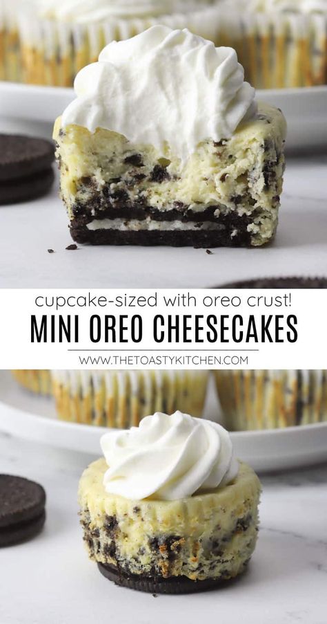 Easy Oreo Cheesecake Cupcakes, Mini Oreo Cheesecake Cupcakes No Bake, Oreo Cookie Cheesecake Cups, Cookies And Cream Mini Cheesecakes, Oreo Crust Mini Cheesecake, Oreo Crust Mini Cheesecake Bites, Oreo Flavored Desserts, Individual Oreo Cheesecake Cups, Mini Oreo Cupcakes