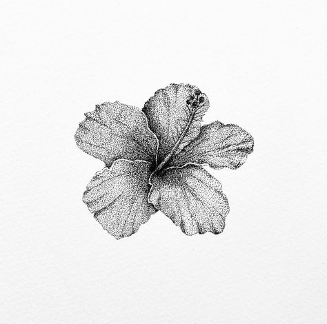 stippling hibiscus flower botanical illustration. Deathcore Tattoo, Hibiscus Illustration, Auto Tattoo, Pointillism Tattoo, Hibiscus Flower Tattoos, American Traditional Tattoo Ideas, Traditional Tattoo Ideas, Basic Art, Flash Ideas