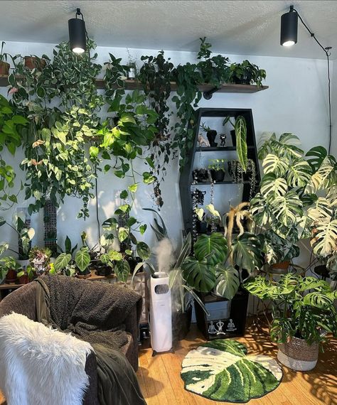 Soltech | Talk about lush! 🌿🍃 @gothplantmama’s plant room is practically a jungle with all these large leaves and trailing vines. The indoor… | Instagram Plants House Aesthetic, Plant Esthetics Room, Plant Filled Apartment, Vining Plants Indoor Ideas, Plant Storage Indoor, Jungle Room Aesthetic, Plant Apartment Aesthetic, Plant Filled Living Room, Indoor Plant Room