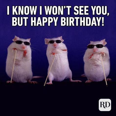 30 of the Funniest Happy Birthday Memes | Reader's Digest Silly Happy Birthday, Hilarious Happy Birthday, Happy Birthday Humorous, Meme Happy, Funny Happy Birthday Meme, Dance Happy, Happy Memes, Funny Birthday Meme, Funny Happy Birthday Wishes