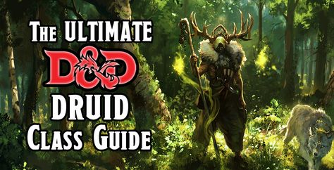 Ultimate Guide to D&D Driud Class 5e Druid, Druid Character, Wild Shape, Dnd Characters, The Conjuring, Dungeons And Dragons