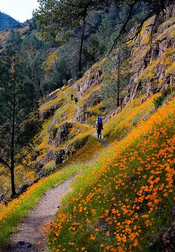 Hites trail Hill Landscape, Merced River, Nature Trails, Beautiful Roads, Cheap Flight, Cheap Flight Tickets, Nature Scenery, Flight Tickets, Fairy Queen