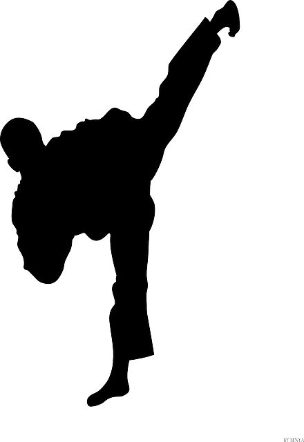 Free Image on Pixabay - Martial Art, Judo, Taekwondo, Fight Safety Moment, Cobra Cai, Totally Accurate Battle Simulator, Pencak Silat, Martial Art, Popular Art, Silhouette Art, Art Clipart, Judo