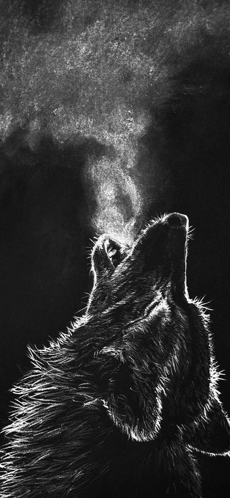 Wolf Wallpaper, Wallpapers, Black And White, Black