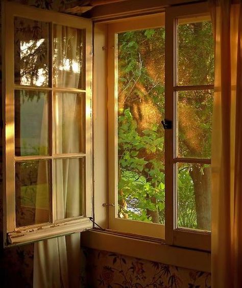 Fresh air and morning sunshine An Open Window, Looking Out The Window, Beautiful Windows, Trondheim, Window View, Open Window, Through The Window, Cabins In The Woods, My New Room