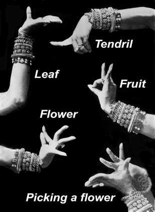 #bellydance hand gestures - seems like there's some missing? Belly Dancing Classes, Indian Classical Dance, Hand Gestures, Jitterbug, Dance Tutorial, Indian Dance, Makeup Tricks, Belly Dancing, Belly Dance Costumes