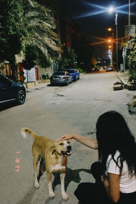 Pets Aesthetic, Night Rides Snapchat, Street Pics, Attitude Bio For Instagram, Husky Pics, Photos With Dog, Snap Streak Ideas Easy, Dog Poses, Street Dogs